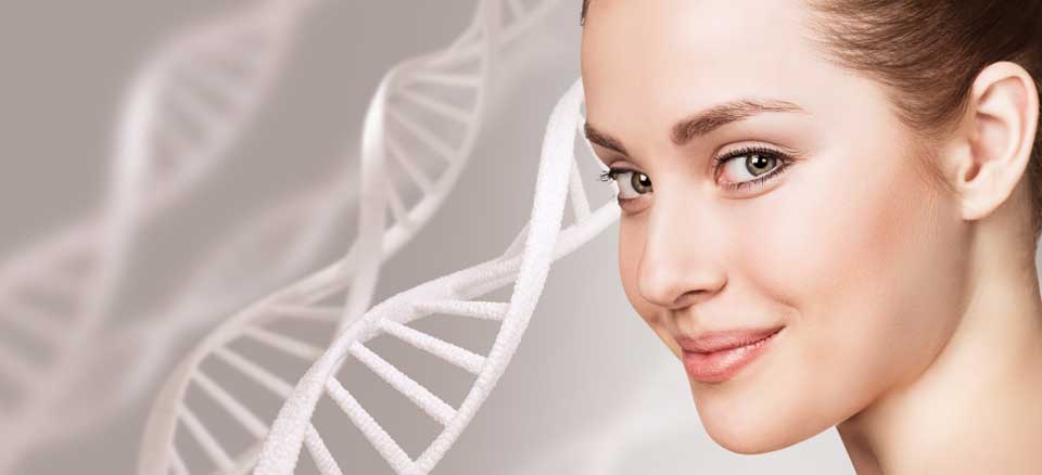 انواع کلاژن کدام‌اند؟